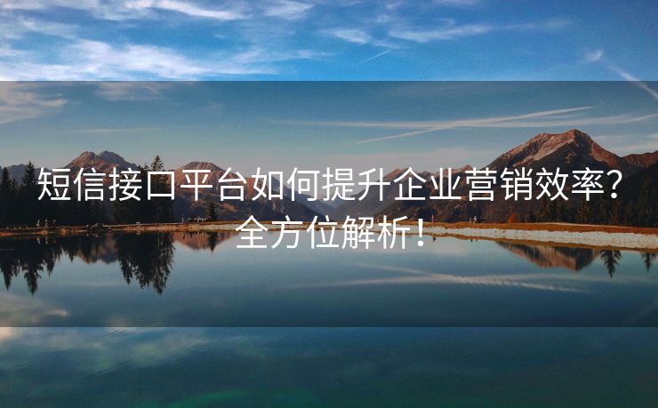 短信接口平台如何提升企业营销效率？全方位解析！
