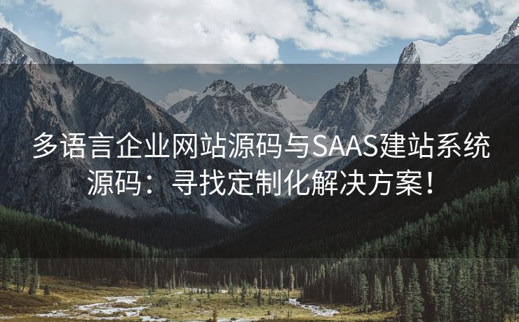 多语言企业网站源码与SAAS建站系统源码：寻找定制化解决方案！