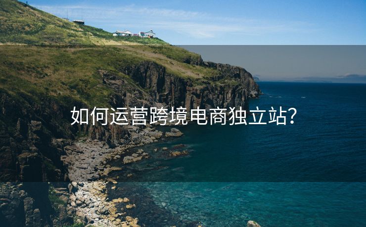 如何运营跨境电商独立站？