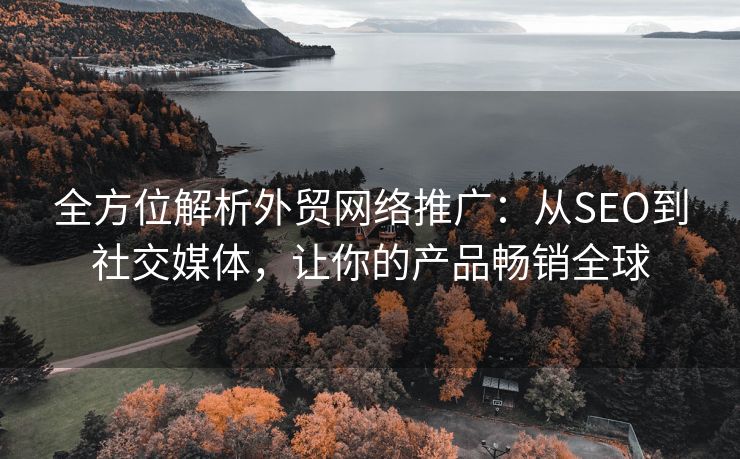 全方位解析外贸网络推广：从SEO到社交媒体，让你的产品畅销全球
