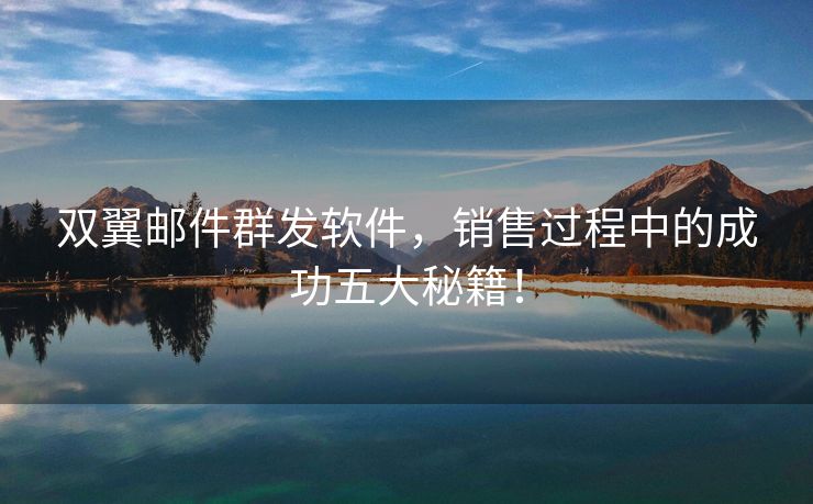 双翼邮件群发软件，销售过程中的成功五大秘籍！