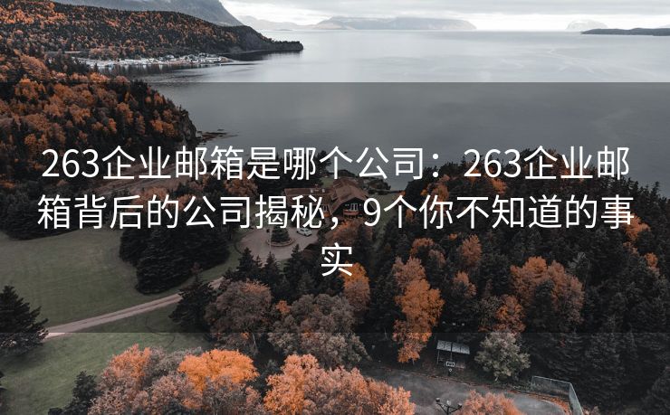 263企业邮箱是哪个公司：263企业邮箱背后的公司揭秘，9个你不知道的事实