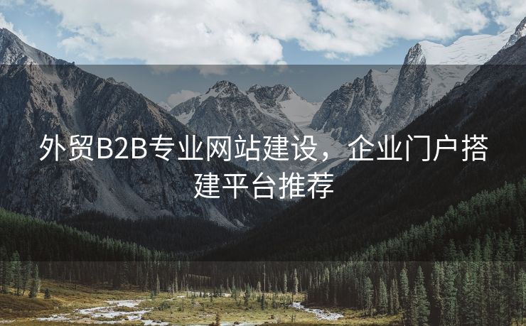外贸B2B专业网站建设，企业门户搭建平台推荐