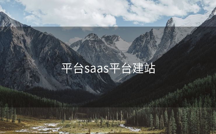 平台saas平台建站