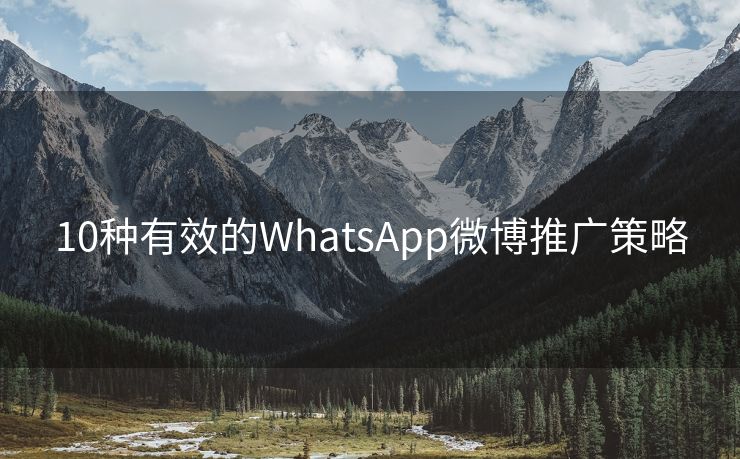 10种有效的WhatsApp微博推广策略
